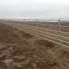 Permanent Pipe Fencing - Image 2