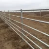 Permanent Pipe Fencing